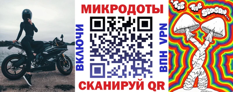 Псилоцибиновые грибы Psilocybine cubensis  Тамбов 